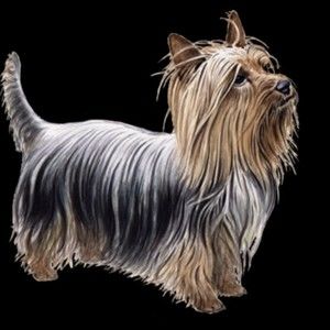 Meet your Posher, Jayne